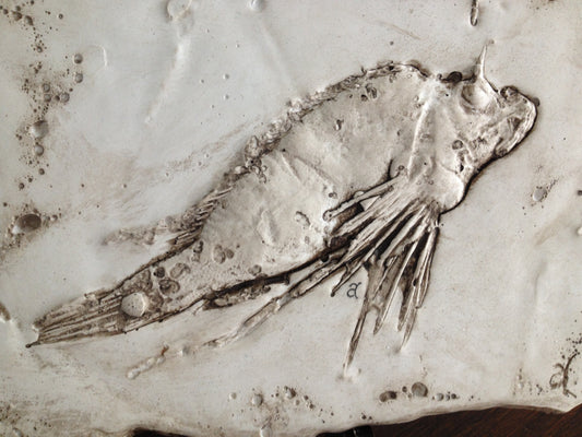 LionFish Fossil